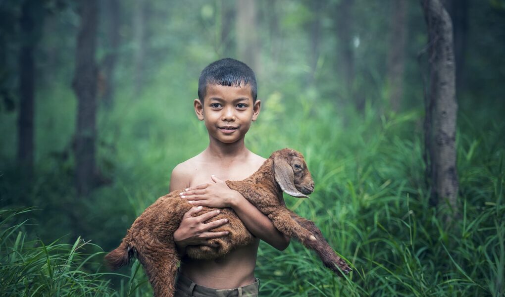 Cognitieve stimulatie via buitenspelen en natuur