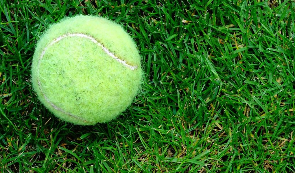 Organiseer een modderdag in je eigen tuin